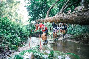 BIB: 
                            <button type="button" onclick="openModal(25441415)" class="btn btn-primary btn-sm float-right btn-popup" data-toggle="modal" data-target=".modal-high-quality">
                        <i class="fas fa-shopping-cart"></i> Add to Cart
                    </button>
                                            <button type="button" onclick="isThisMe(25441415, true)" class="btn btn-success btn-sm float-right btn-popup btn-isme hidden" data-toggle="tooltip" data-placement="bottom" title="นี่คือรูปของคุณใช่ไหม คลิกที่นี่เพื่อเอาเข้าอัลบั้ม">
                        <i class="fas fa-plus"></i> Add to album
                    </button>
                    <button type="button" onclick="isThisMe(25441415, false)" class="btn btn-warning btn-sm float-right btn-popup btn-isnotme hidden">
                        <i class="fas fa-ban"></i> Remove from album
                    </button>